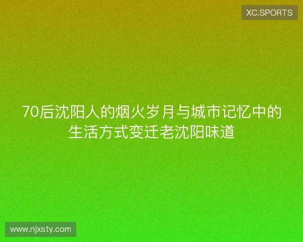 70后沈阳人的烟火岁月与城市记忆中的生活方式变迁老沈阳味道